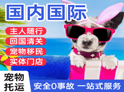 首都航空运输国际宠物托运 【国
